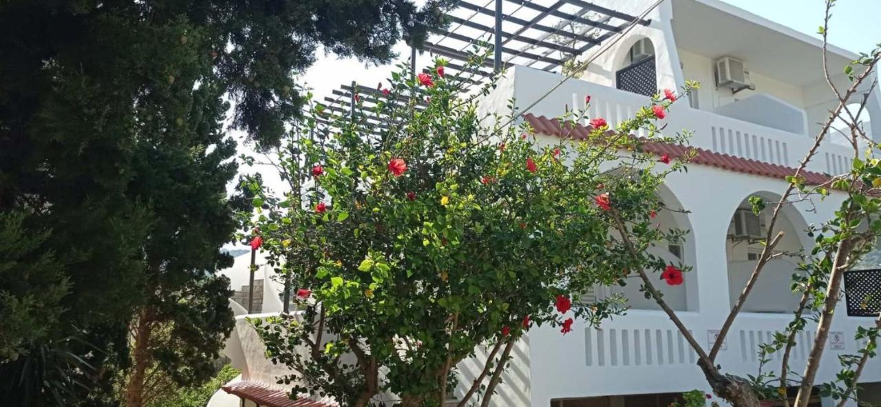 Afroditi Hotel Плакиас Экстерьер фото